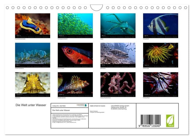Produktbild: Die Welt unter Wasser (Wandkalender 2026 DIN A4 quer), CALVENDO Monatskalender