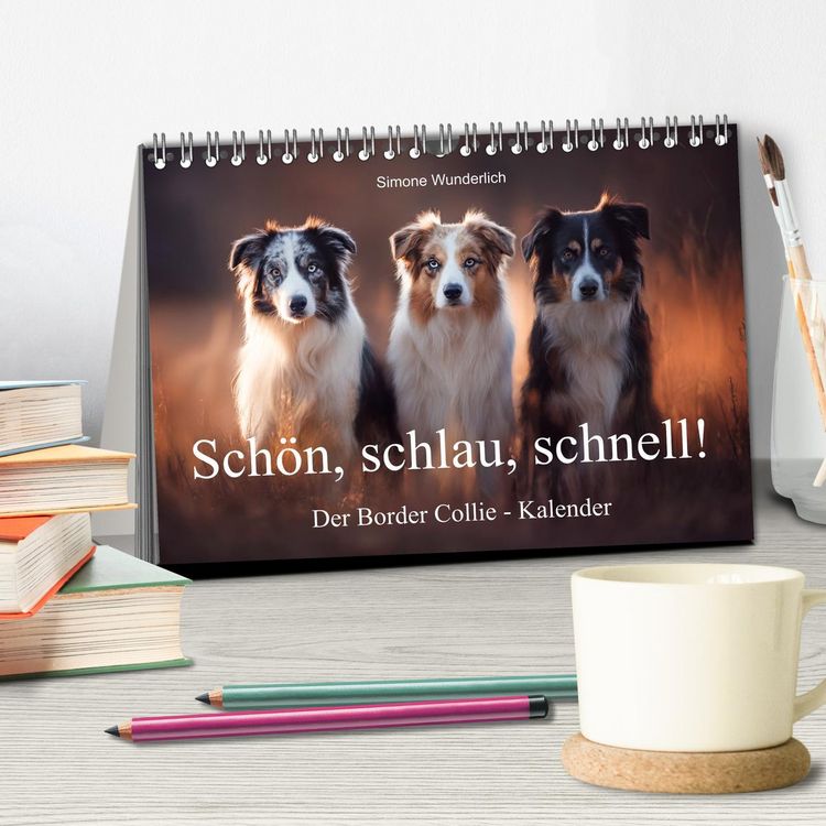 Produktbild: Sch&ouml;n, schlau, schnell! - Der Border Collie - Kalender (Tischkalender 2026 DIN A5 quer), CALVENDO Monatskalender