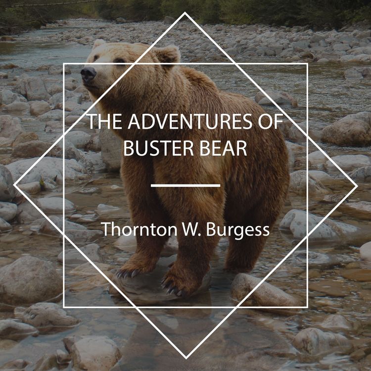 Produktbild: The Adventures of Buster Bear