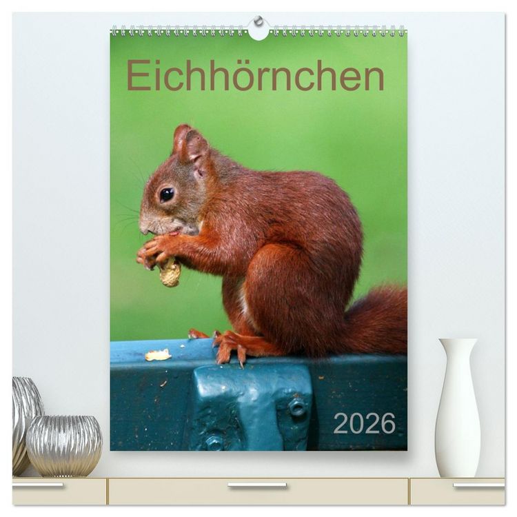 Produktbild: Eichh&ouml;rnchen (hochwertiger Premium Wandkalender 2026 DIN A2 hoch), Kunstdruck in Hochglanz
