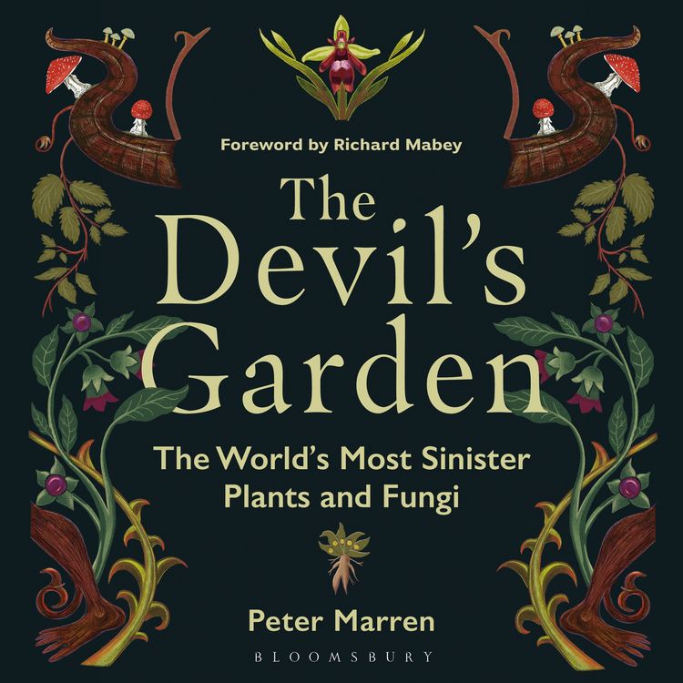 Produktbild: The Devil's Garden