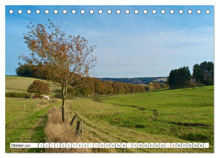 Produktbild: Traumhafte Wege durch die Eifel (Tischkalender 2026 DIN A5 quer), CALVENDO Monatskalender