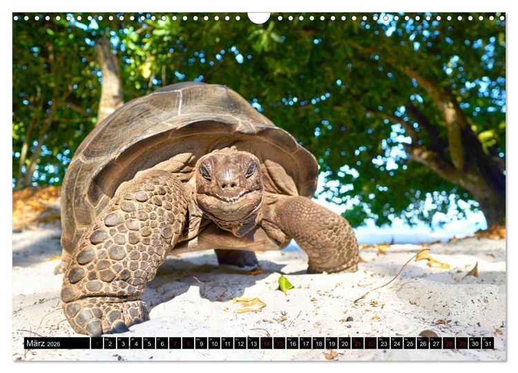 Produktbild: Seychellen Inselblicke (Wandkalender 2026 DIN A3 quer), CALVENDO Monatskalender