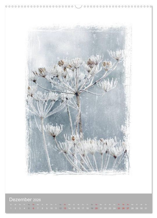 Produktbild: Kunstwerk Natur (hochwertiger Premium Wandkalender 2026 DIN A2 hoch), Kunstdruck in Hochglanz