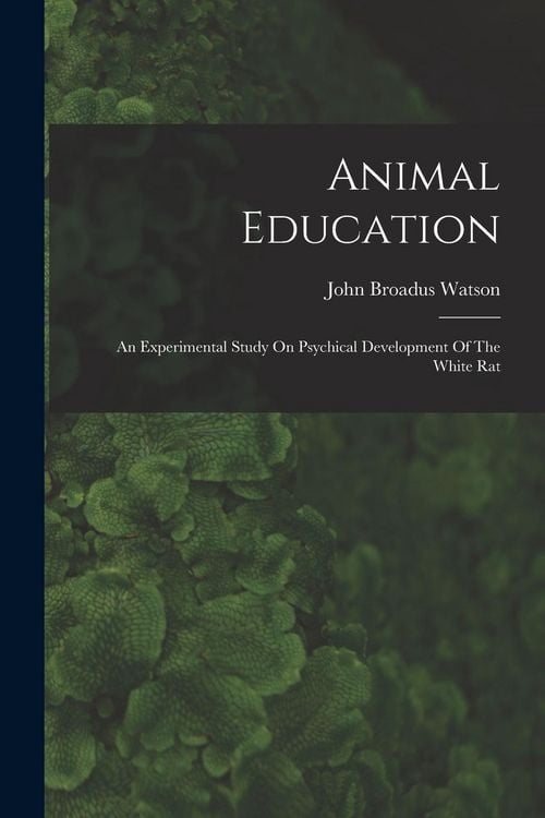 Produktbild: Animal Education: An Experimental Study On Psychical Development Of The White Rat