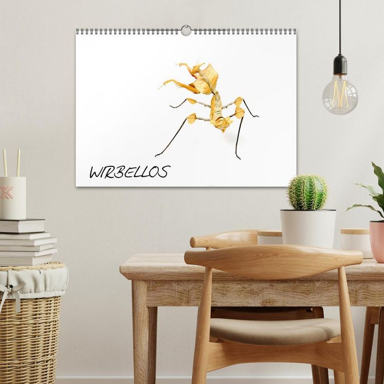 Produktbild: WIRBELLOS (Wandkalender 2026 DIN A3 quer), CALVENDO Monatskalender