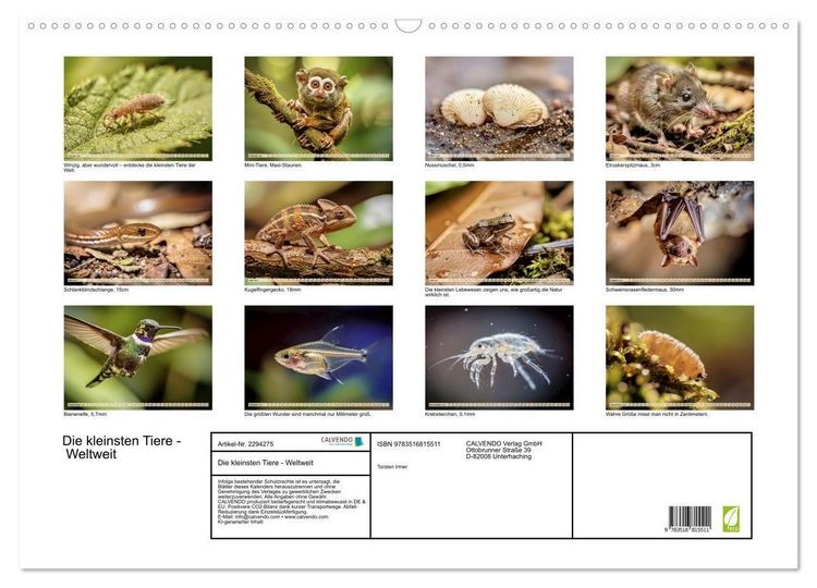 Produktbild: Die kleinsten Tiere - Weltweit (Wandkalender 2027 DIN A2 quer), CALVENDO Monatskalender