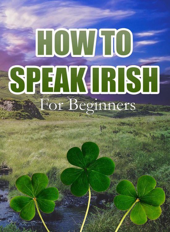 Produktbild: How To Speak Irish For Beginners