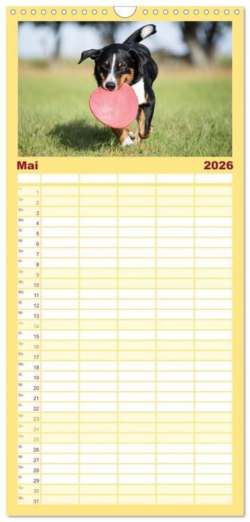 Produktbild: Familienplaner 2026 - Appenzeller Sennenhunde - Fr&ouml;hliche Kameraden mit 5 Spalten (Wandkalender, 21 x 45 cm) CALVENDO