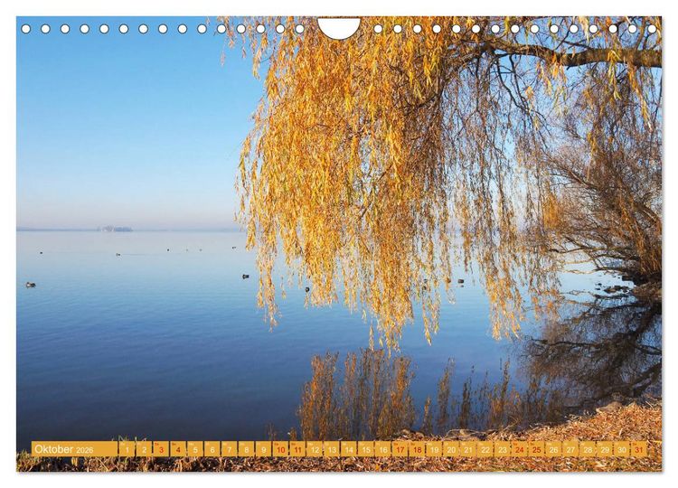 Produktbild: Traumhaftes Steinhuder Meer (Wandkalender 2026 DIN A4 quer), CALVENDO Monatskalender