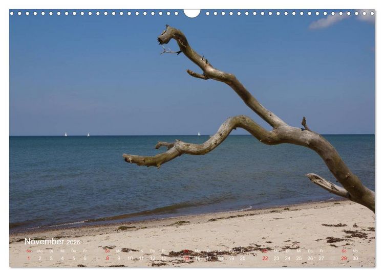 Produktbild: Anblicke und Ausblicke auf Fischland Dar&szlig; (Wandkalender 2026 DIN A3 quer), CALVENDO Monatskalender
