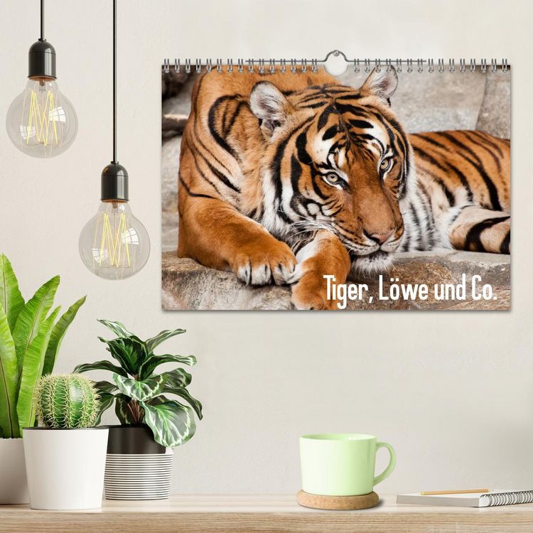 Produktbild: Tiger, L&ouml;we und Co. (Wandkalender 2026 DIN A4 quer), CALVENDO Monatskalender