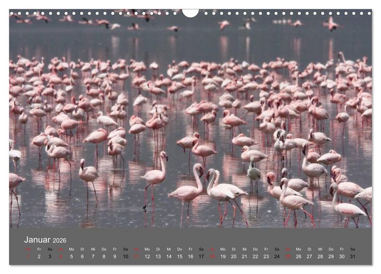 Produktbild: Ich tr&auml;umte von Afrika (Wandkalender 2026 DIN A3 quer), CALVENDO Monatskalender