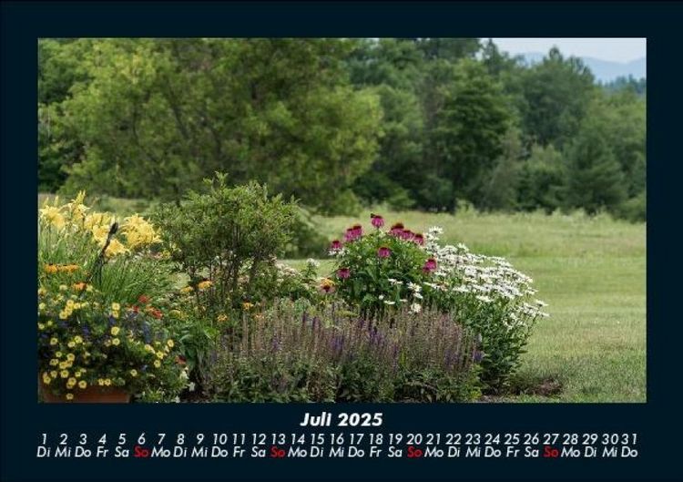 Produktbild: Blumenkalender 2025 Fotokalender DIN A5