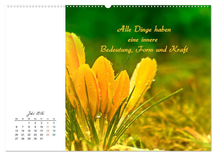 Produktbild: Innehalten in der Natur ... mit Weisheiten und Sprichworten der Indianer (hochwertiger Premium Wandkalender 2026 DIN A2 quer), Kunstdruck in Hochglanz