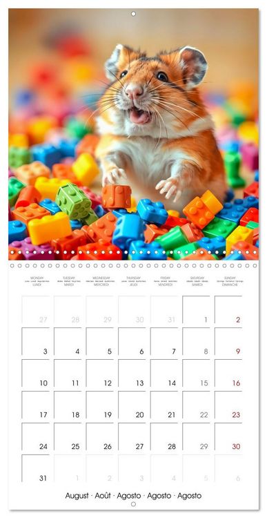 Produktbild: Small paws and great playfulness (Wall Calendar 2026 12 &times; 12 Inch) CALVENDO 12 Month Wall Calendar