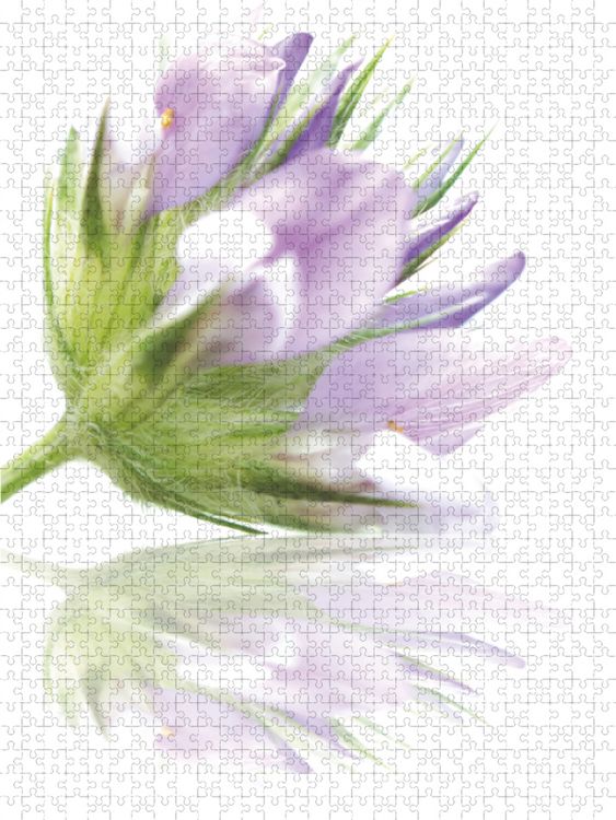 Produktbild: CALVENDO Puzzle Kreativit&auml;t 1000 Teile Lege-Gr&ouml;&szlig;e 48 x 64 cm Foto-Puzzle Bild von Nina Schwarze