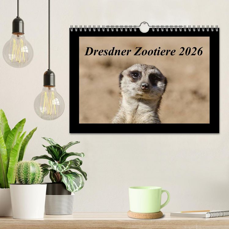 Produktbild: Dresdner Zootiere 2026 (Wandkalender 2026 DIN A4 quer), CALVENDO Monatskalender