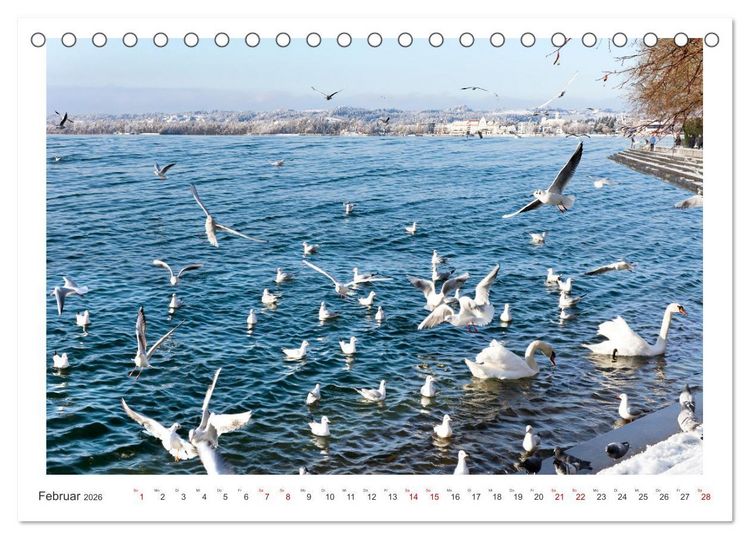 Produktbild: Bregenz am Bodensee (Tischkalender 2026 DIN A5 quer), CALVENDO Monatskalender