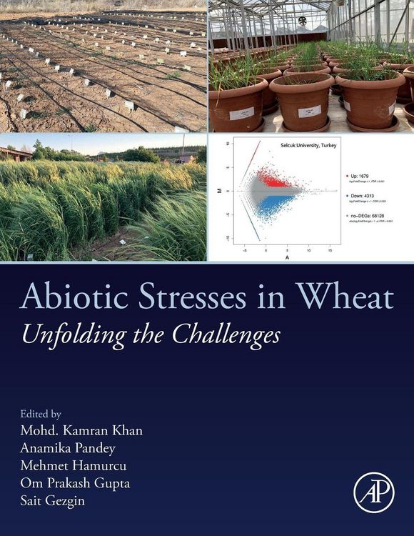 Produktbild: Abiotic Stresses in Wheat