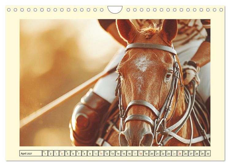 Produktbild: Pferdesport Impressionen. Eleganz, Kraft und Vertrauen (Wandkalender 2027 DIN A4 quer), CALVENDO Monatskalender