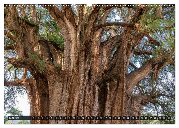 Produktbild: Naturwelt Mittelamerika (hochwertiger Premium Wandkalender 2027 DIN A2 quer), Kunstdruck in Hochglanz