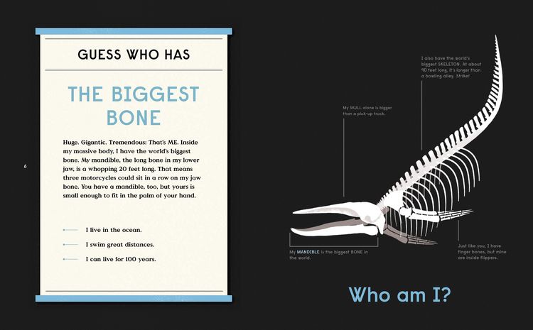 Produktbild: Book of Bones