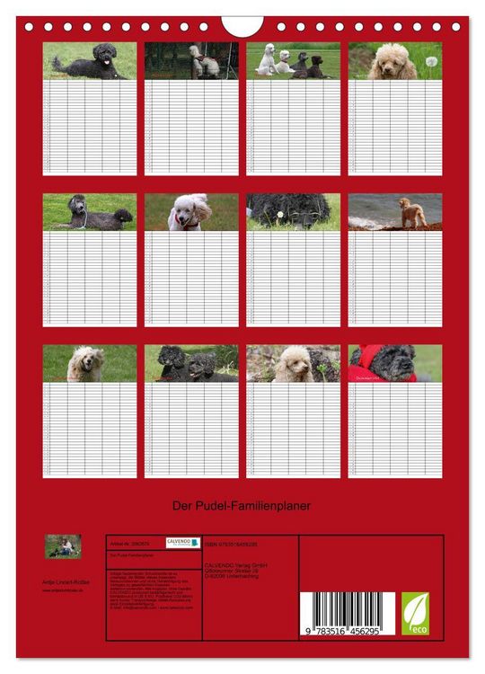 Produktbild: Der Pudel-Familienplaner (Wandkalender 2026 DIN A4 hoch), CALVENDO Monatskalender