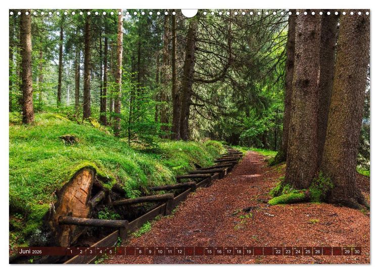 Produktbild: Unterwegs im Erzgebirge - Zwischen Tradition, Kultur und Natur (Wandkalender 2026 DIN A3 quer), CALVENDO Monatskalender