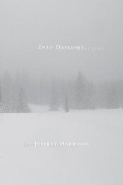 Produktbild: Into Daylight