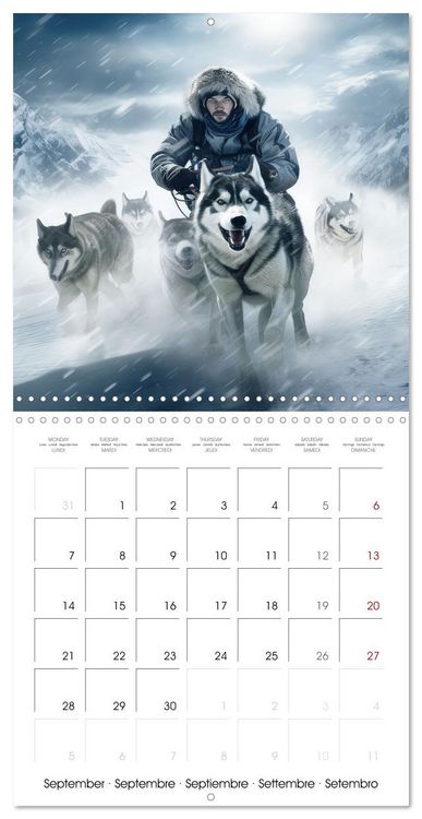 Produktbild: Husky obsession (Wall Calendar 2026 12 &times; 12 Inch) CALVENDO 12 Month Wall Calendar