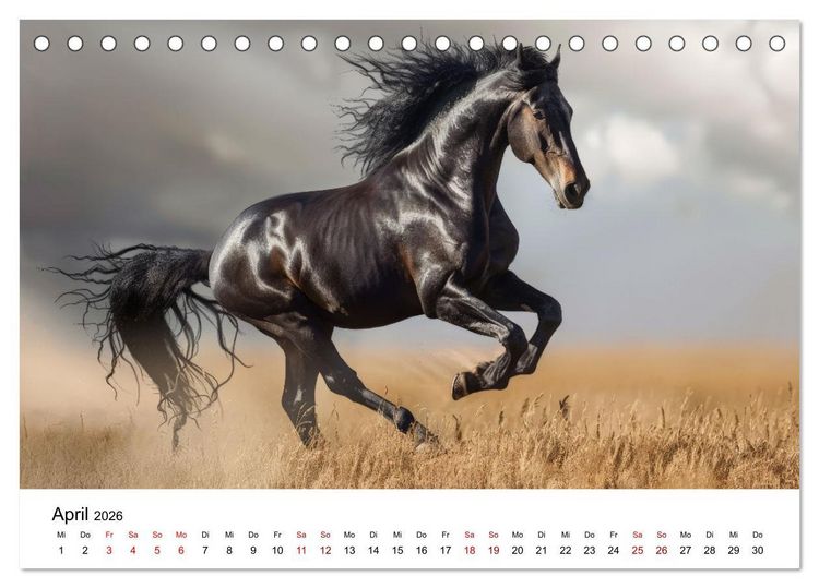 Produktbild: Wilde M&auml;hnen: Ein Jahr mit Pferden (Tischkalender 2026 DIN A5 quer), CALVENDO Monatskalender