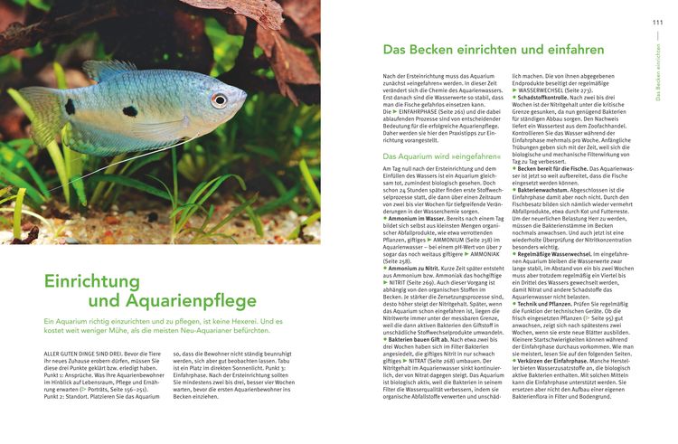 Praxishandbuch Aquarium