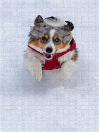 Produktbild: CALVENDO Puzzle Schneepflug | 1000 Teile Lege-Gr&ouml;&szlig;e 64x48cm Foto-Puzzle f&uuml;r gl&uuml;ckliche Stunden