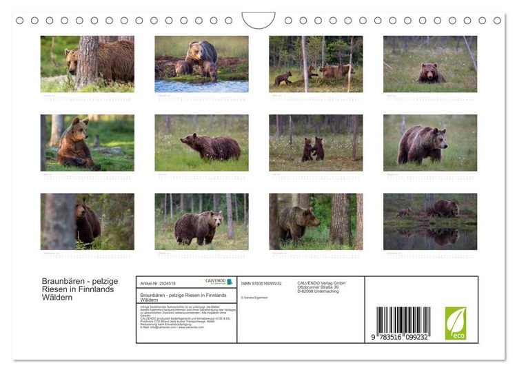 Produktbild: Braunb&auml;ren - pelzige Riesen in Finnlands W&auml;ldern (Wandkalender 2026 DIN A4 quer), CALVENDO Monatskalender