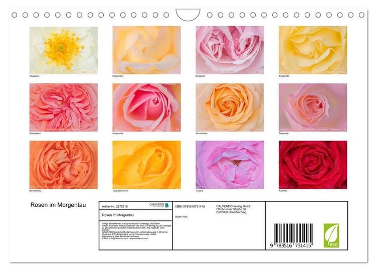 Produktbild: Rosen im Morgentau (Wandkalender 2026 DIN A4 quer), CALVENDO Monatskalender