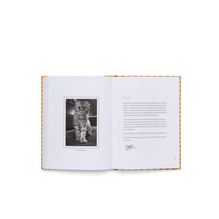 Produktbild: Blue Chip (DE)