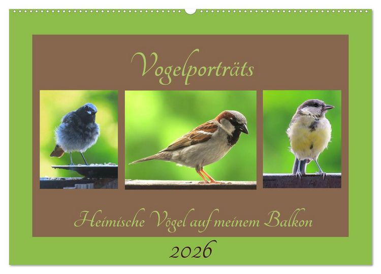 Produktbild: Vogelportr&auml;ts - Heimische V&ouml;gel auf meinem Balkon (Wandkalender 2026 DIN A2 quer), CALVENDO Monatskalender