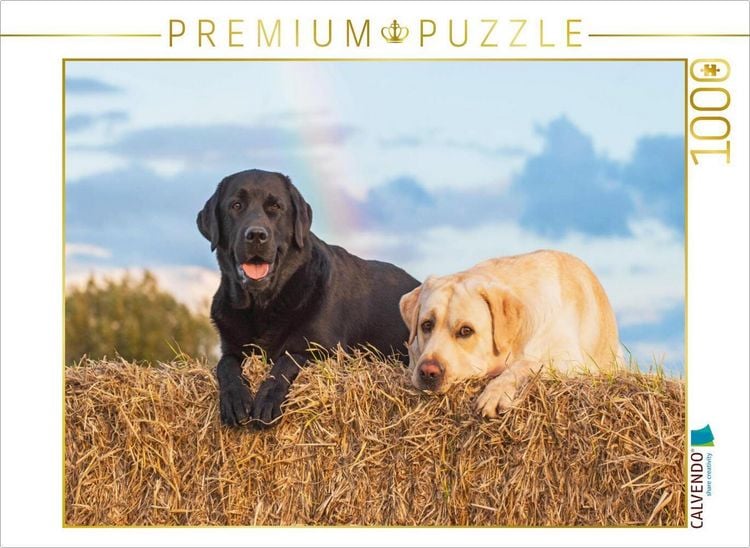Produktbild: CALVENDO Puzzle Nach dem Regen | 1000 Teile Lege-Gr&ouml;&szlig;e 64x48cm Foto-Puzzle f&uuml;r gl&uuml;ckliche Stunden