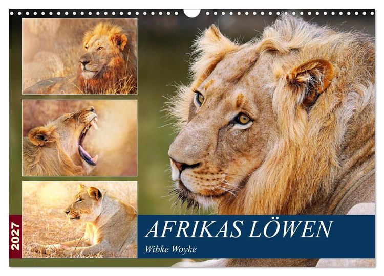 Produktbild: Afrikas L&ouml;wen 2027 (Wandkalender 2027 DIN A3 quer), CALVENDO Monatskalender