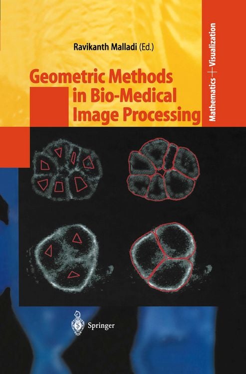 Produktbild: Geometric Methods in Bio-Medical Image Processing