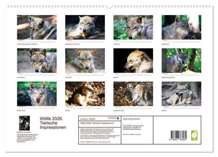 Produktbild: W&ouml;lfe 2026. Tierische Impressionen (hochwertiger Premium Wandkalender 2026 DIN A2 quer), Kunstdruck in Hochglanz