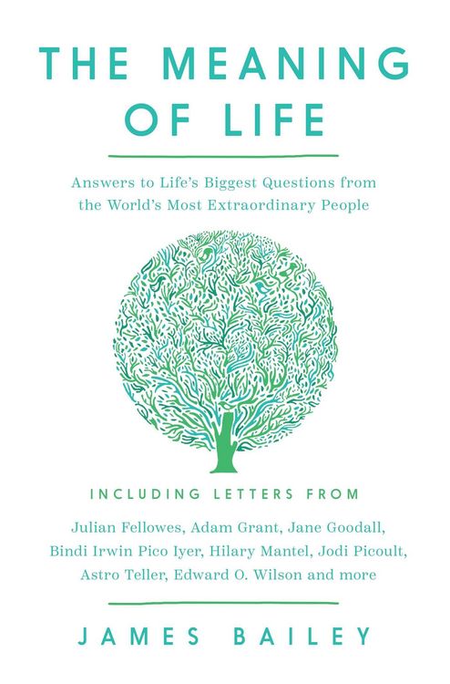 Produktbild: The Meaning of Life