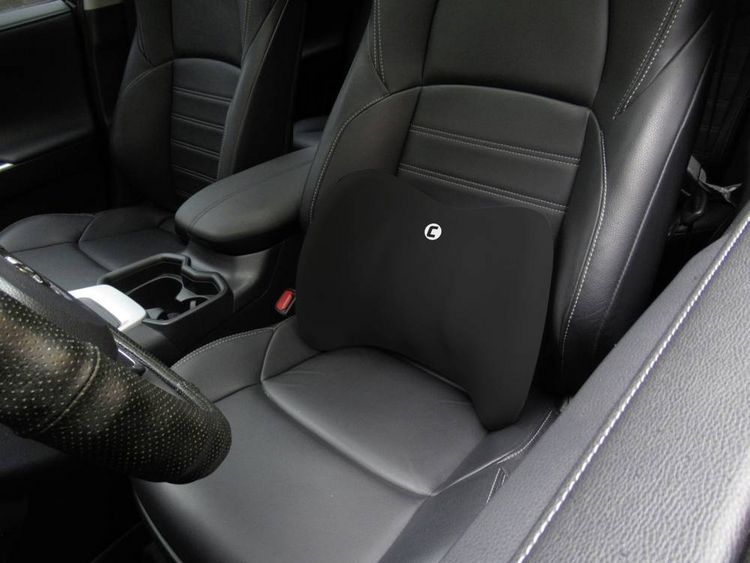Produktbild: Cartrend 700514 Lendenkissen