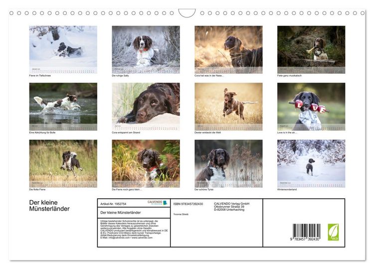 Produktbild: Der kleine M&uuml;nsterl&auml;nder (Wandkalender 2026 DIN A3 quer), CALVENDO Monatskalender