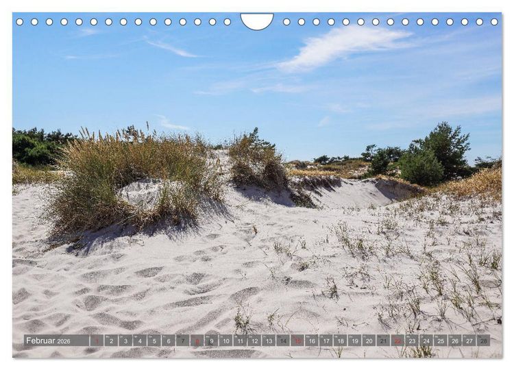 Produktbild: Fischland Dar&szlig; Zingst - wie gemalt (Wandkalender 2026 DIN A4 quer), CALVENDO Monatskalender