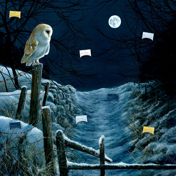 Produktbild: Zettel-Adventskalender &ndash; Magie und Mythos der Winter-Weihnacht