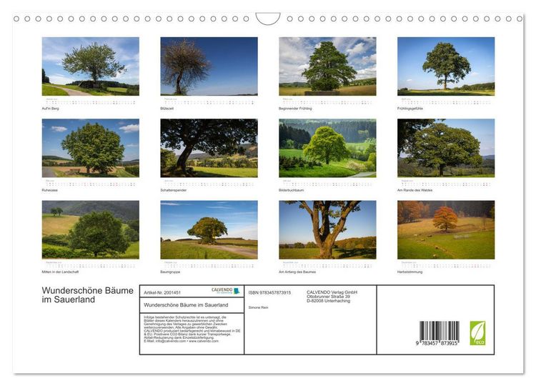 Produktbild: Wundersch&ouml;ne B&auml;ume im Sauerland (Wandkalender 2026 DIN A3 quer), CALVENDO Monatskalender