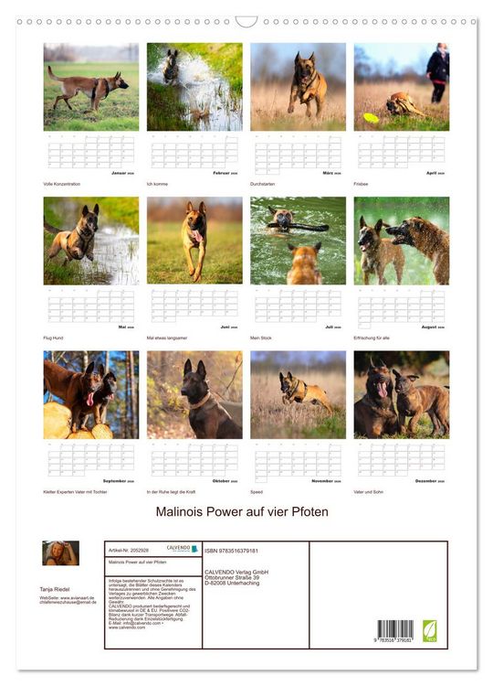 Produktbild: Malinois Power auf vier Pfoten (Wandkalender 2026 DIN A2 hoch), CALVENDO Monatskalender