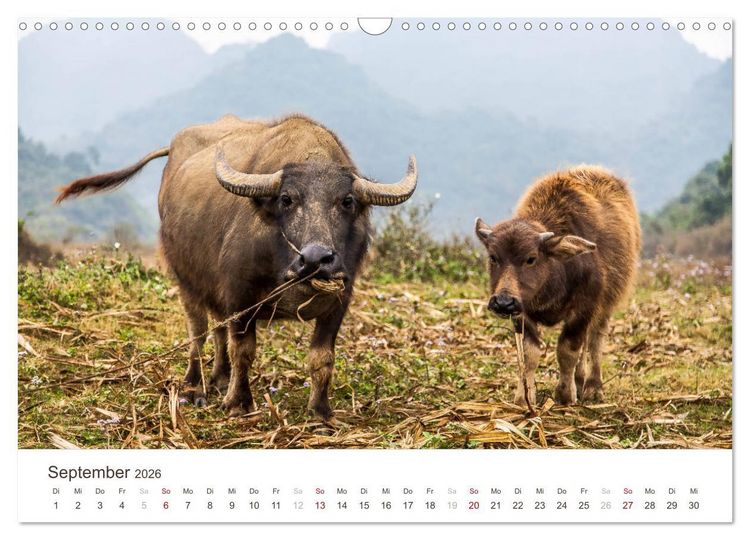Produktbild: S&Uuml;DOSTASIEN (Wandkalender 2026 DIN A3 quer), CALVENDO Monatskalender